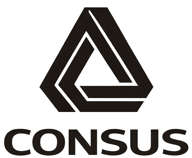 www.consus.com.pl